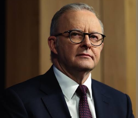 Anthony Albanese biography