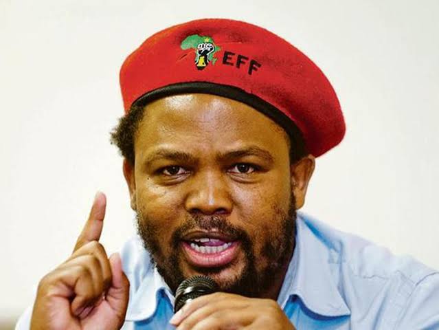 Andile Mngxitama Biography